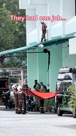 Nature’s Metal on Instagram: "Here are five unbelievable facts about cats: 1. **Jacobson’s Organ**: Cats have a special organ called the Jacobson’s organ, located on the roof of their mouth. This allows them to taste scents in the air, enhancing their sense of smell. They often display a funny face called the Flehmen response when they use it. 2. **Super Agility**: Cats can jump up to six times their body length in a single bound. This incredible jumping ability is due to their powerful back leg