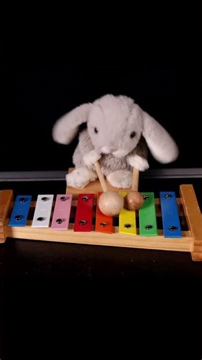 Flight Of The Hog! Original music REUPLOAD as #shorts #funkypigfriday