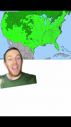 Oak Trees: Supporting Wildlife with Insects | Biodiversity Impact