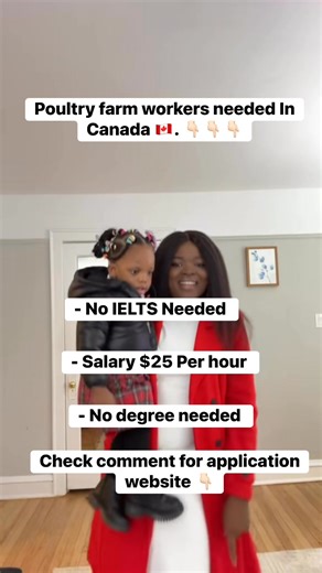 3.2K views · 62 reactions | Poultry Farm workers needed In Canada . - No ielts required - No degree required - salary $25 per hour Write a good cv/resume and cover letter in Canada  standard before applying  Website in the comments  Good luck ©️Renis Anne Pov: this is an unskilled labour  #canada #saskatchewan #poultryfarming #poultry #fyp | Renis Anne | Facebook