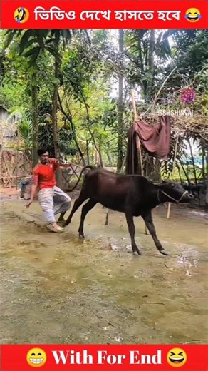 haser video 🤣😂 #shortvideo #viralvideo #trending #funnyvideo #comedyshorts #entertainment