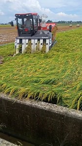 3.9K reactions · 8 comments | dhaan harvester machine  . . . . . . . . . . #kubota #agriculture #harvestermachine #kubotaharvester #paddyharvester #harvester #farming | 혽홡홪홚 혾홝홚홢홥 | Facebook