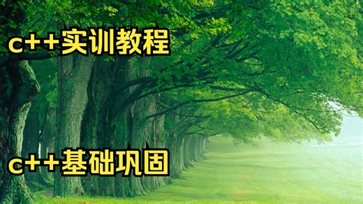 c  实训教程 pdf c  基础巩固 c  读取pdf教学