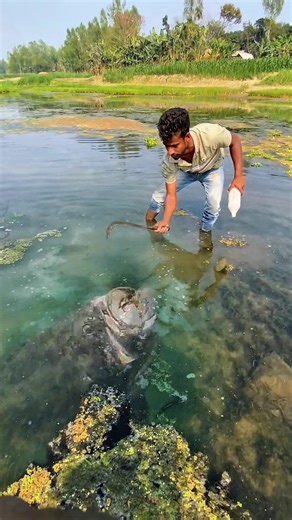 Secret Technique to Catch Big Grouper in a Lake! 🔥#fishing #fishing #grouper