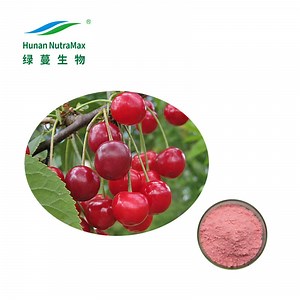 [Hot Item] 100% Natural Prunus Cerasus Extract Cherry Extract