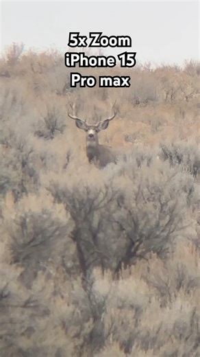 Kite APC at 358 Yards — Left-Handed Image Stabilization Test