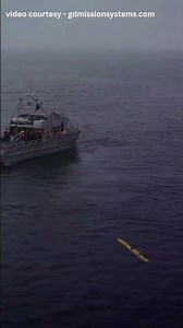 This Underwater Robot Can Swim, Dive, AND Crawl on Sand