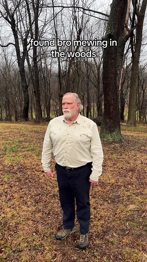 Understanding the Concept of Mogging: Explained