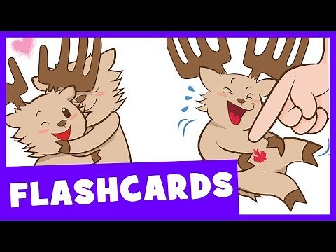 Action Words | Talking Flashcards
