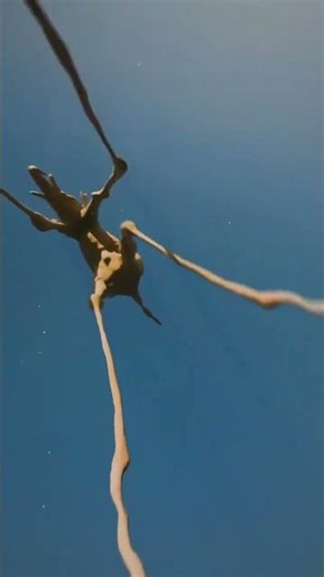 ....The Ultimate Art Crossover: A Surreal Digital Journey (Highlights the mashup of styles)..