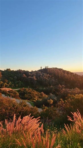 #griffithpark #griffithobservatory #visitcalifornia #senderismo #hiking #hikingadventures