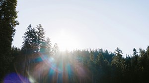 28 Night Shift Workers Share the Surprising Benefits Of Working Overnight—Despite Its Bad Reputation