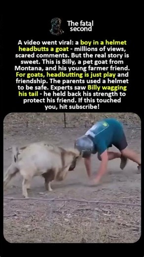 Boy vs. Goat 🐐😂