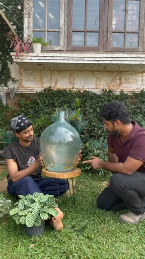 Basith | Finally completed a large-scale terrarium — a project that has been on my wishlist for a long time. Designing within a large jar with a... | Instagram