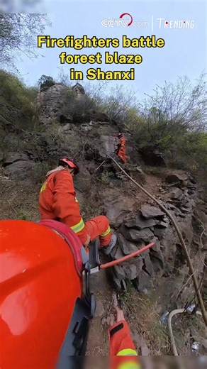 13K views · 94 reactions | In China's Shanxi, forest firefighters battled a raging wildfire, captured in helmet camera footage. Laden with gear, they climbed steep slopes and faced intense heat and smoke—risking everything to protect the forest and lives. #Trending | CCTV | Facebook
