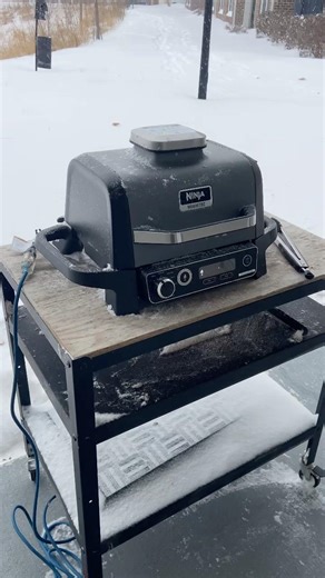 🔥11° Snowstorm Steak Test — Can the Ninja Woodfire Actually Sear in This Cold?