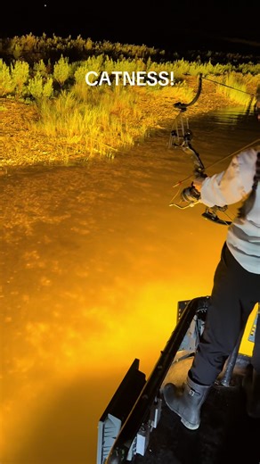 Exploring Catfish Adventures with Captain Blake