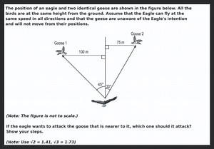The position of an eagle and two identical geese are shown in t... | Filo