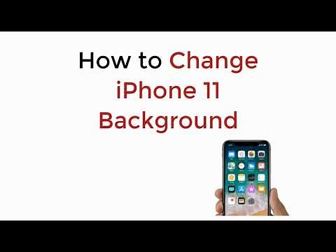iPhone 11/Pro Max : How to Change iPhone 11 Background