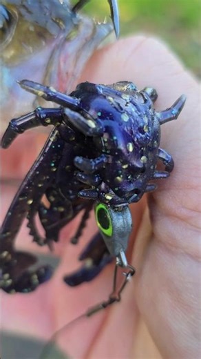 #alien #creature #fishing #lure #shorts #alien_predator_lures