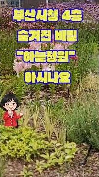 #부산시청 #하늘정원 #힐링 #부산사진명소