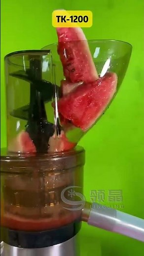 🍉Watermelon Juice Detox | Mega Hopper Cold Press Commercial Juicer
