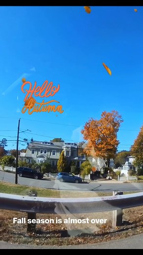 Fall season,crisp, cool weather and vibrant foliage, the most iconic part of this season is the changing of leaves. #fall&autumnseason @flowers Goodnight everyone and have a great week. | Marlyn Alexander