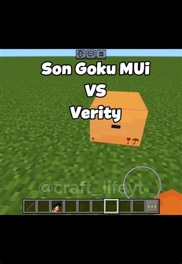 Son Goku MUI vs Verity Minecraft Battle