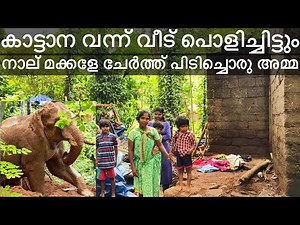 🐘കാട്ടാനകൂട്ടം മൂന്ന് വീടുകൾ തകർത്തു🐘|ഏറുമാടത്തിൽ താമസം|4 കുട്ടികലുമയി ജീവനുംകൊണ്ട്‌ ഓടിയ ഒരു അമ്മ