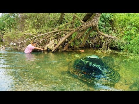 A ten pound clam ran past the girl's eyes, truly the richest pearl wealth