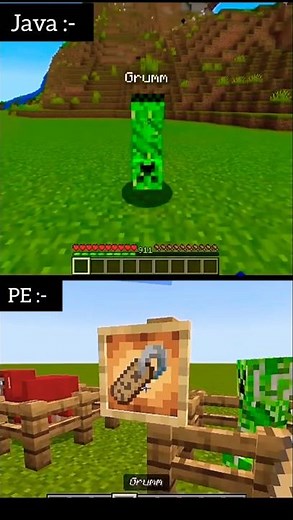 Minecraft's Unique Name Tags: EXPLAINED For PE & Java