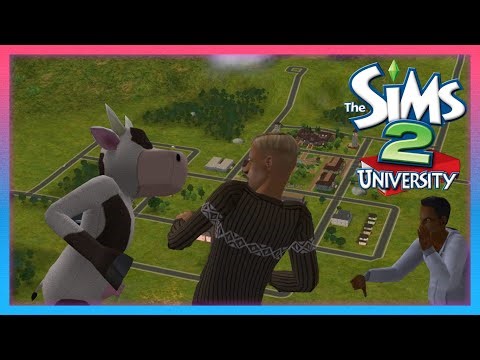 The Sims 2 University - Return of the Cow!
