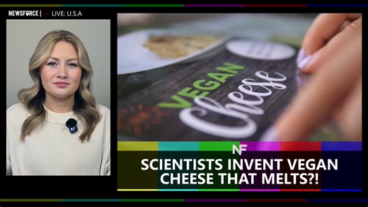 SCIENTISTS CREATE VEGAN CHEESE THAT MELTS PROPERLYResearchers at Heriot-Watt University developed a low-fat plant-based cheese with improved meltability.The product avoids heavy use of coconut and palm oils that are common in current vegan cheeses.The global plant-based cheese market is about $3 billion and could expand if performance improves.Source: NewsForceHost: @MacyGunnell