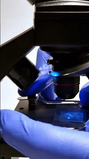 DNA under electron microscope..#dnaextraction