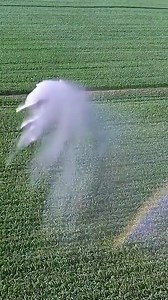 🚨 Stop Moving Irrigation Pipes Manually: You MUST Automate Your Fields with a Reel Sprinkler System for On-Site Efficiency! Why waste labor and time dragging equipment across muddy fields? With over a decade of expertise in industrial hoses and fittings manufacturing, ORIENTFLEX GROUP designs heavy-duty reel sprinkler systems that automate large-scale irrigation—delivering uniform water coverage, reducing soil compaction, and maximizing field productivity. 🌾 Experience seamless irrigation with