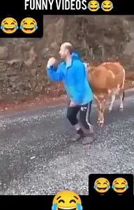 The end  4 #shorts #fails #funnyvideo #trendingvideo