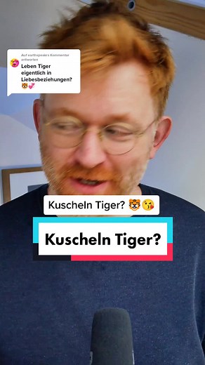 Tiger - Einsame Wächter der Wildnis oder kuschelige Freunde?