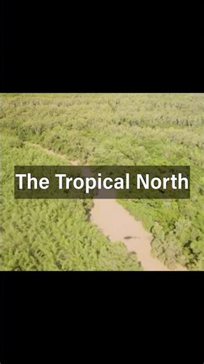 The Tropical North of Australia: Rainforests, Reefs & Wild Adventures 🌴🐠