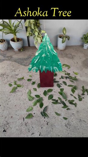 How To Make Ashoka Tree 🎄 With Cardboard #ytshorts #cardboardcraft #ashokatree #diy #easycraft
