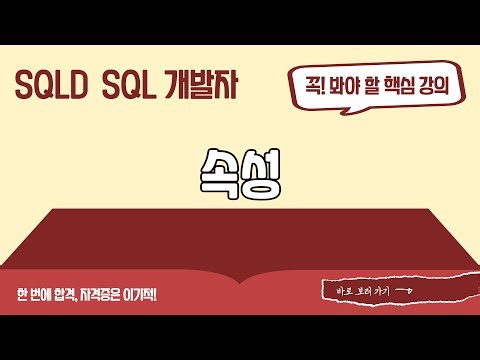 [SQLD SQL 개발자 이론+기출문제] 속성