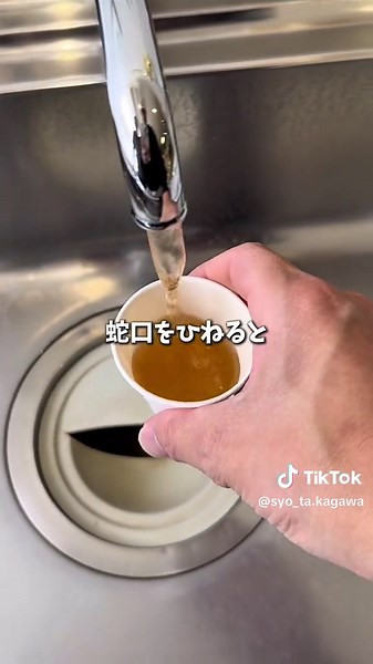 Discover the Best Japanese Food in Kagawa Prefecture