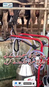 1.5K views · 171 reactions | Milking Machine Price in Pakistan | Milking Machine for dairy farming | #sobyagromachinery #milking | Soby Agro Machinery | Facebook