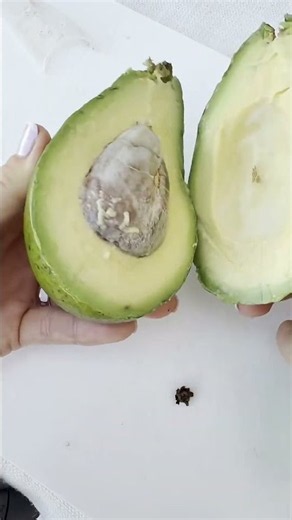 How to Perfectly Cut an Avocado and Remove the Pit 🥑✨