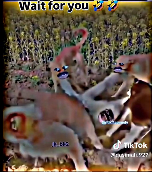 Hilarious Repost Moments That Will Make You Laugh