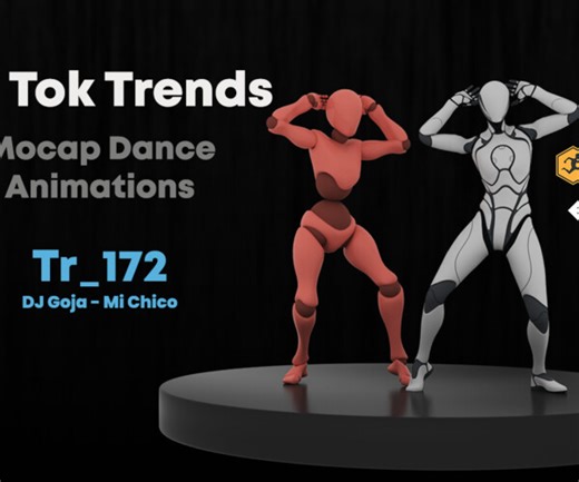 ArtStation - Mocap Dance Animation | Tr 172 | Game Assets