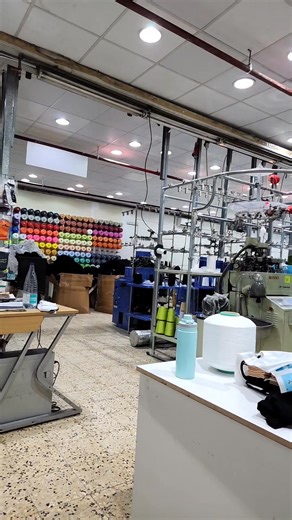 #socks | The Basic Vlogger