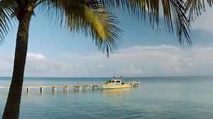 259K views · 139 reactions | Can’t wait to travel again? Begin your adventure and become an ambassador for the ocean. Start your scuba diving eLearning course today from the comfort of your own home! | Aquarius Scuba | Facebook