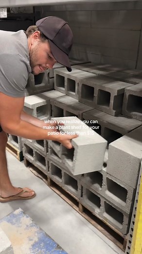 Affordable DIY Plant Shelves for Your Patio Under $15!