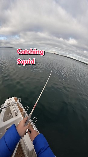 Squid Fishing Melbourne: Tips and Techniques for Catching Squid