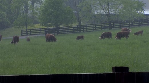 Williamson County agriculture from Gov. Bill Lee’s family farm